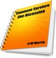 Comment Survivre Une Récession e-livre