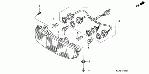 Rear Combination Light