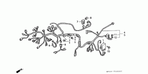 Wiring Harness