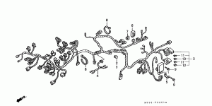 Wiring Harness