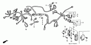 Wiring Harness