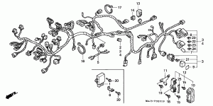 Wiring Harness