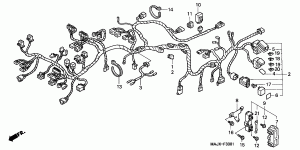 Wiring Harness