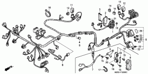 Wiring Harness